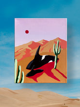 Surface Gallery