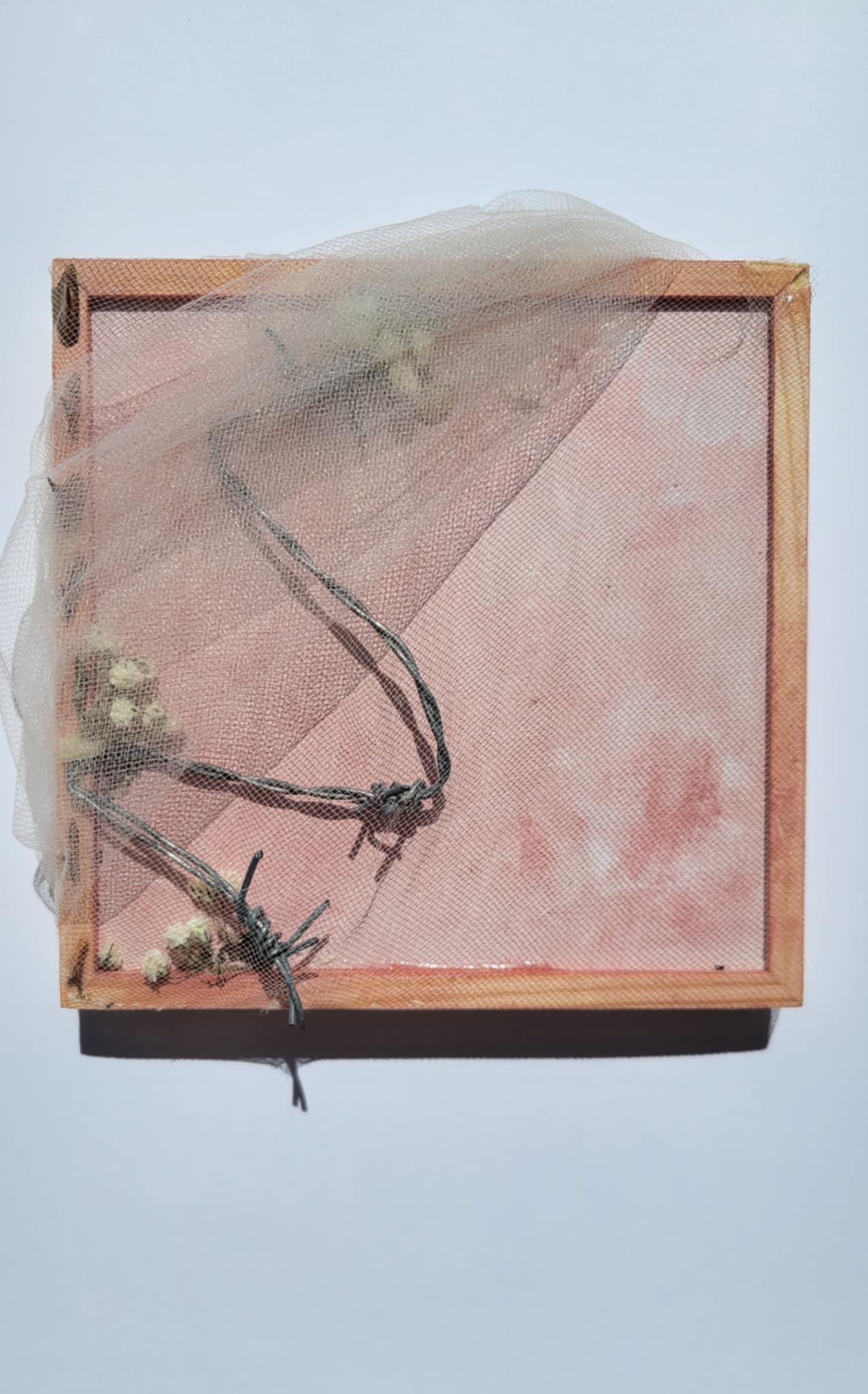 Veiled III