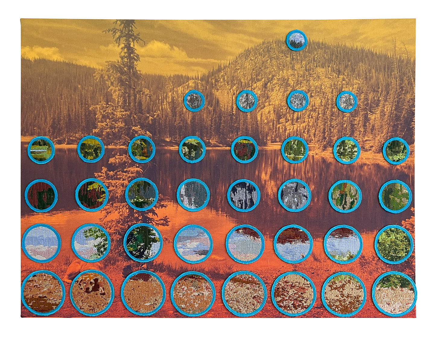 The Forest for the Trees/The trees for the Forest (Three Island Lake)