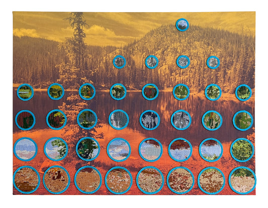 The Forest for the Trees/The trees for the Forest (Three Island Lake)