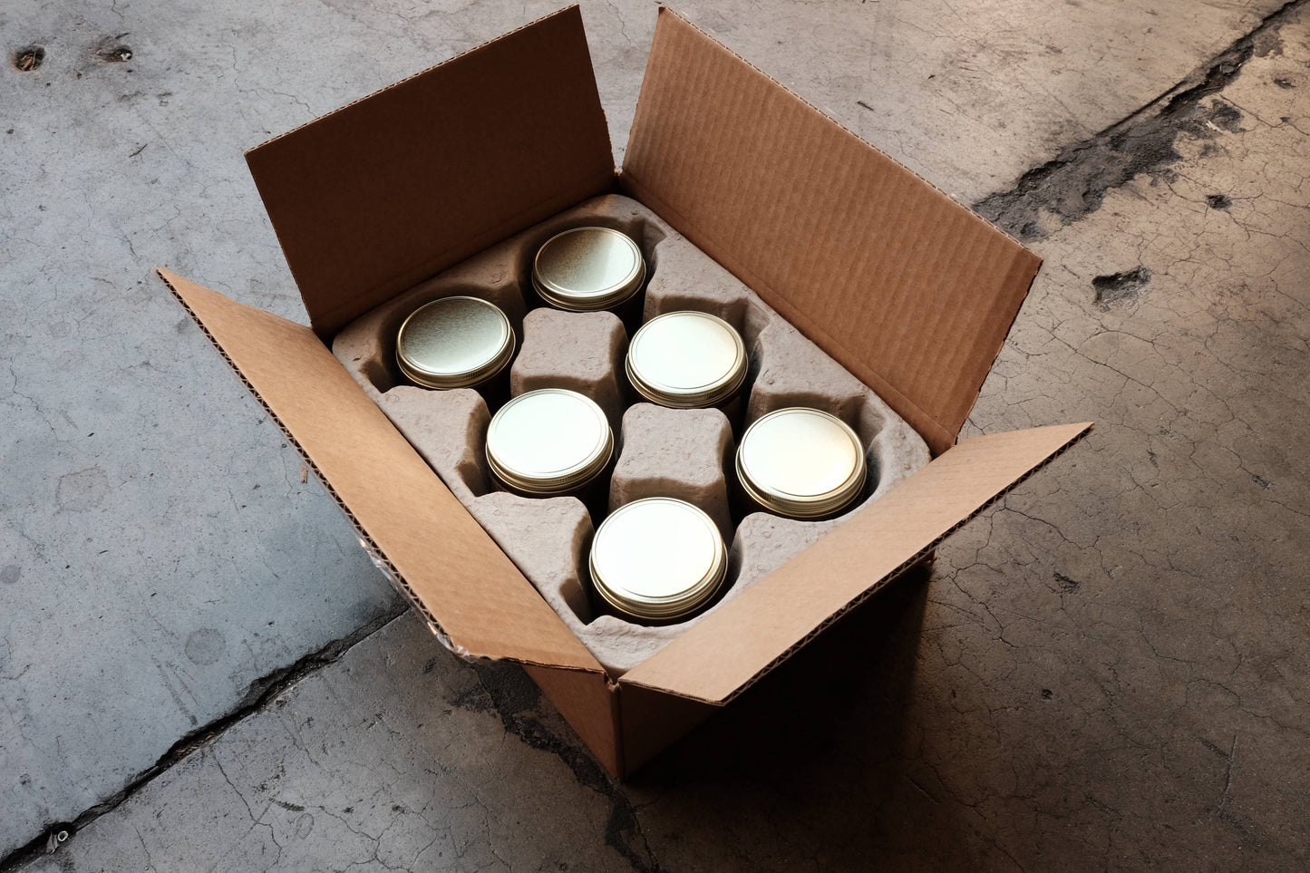 P.F. Candle Co. - Golden Coast - 7.2 oz Standard Soy Candle: 7.2 oz