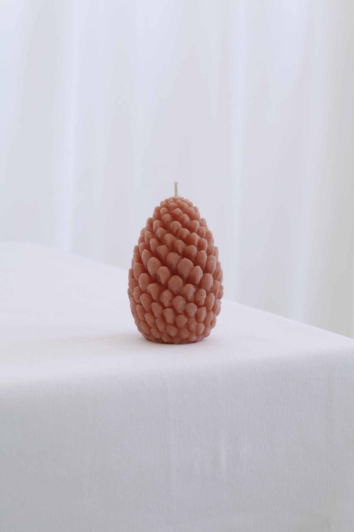 Mo&Co Home - Mo&Co Home Exclusive: Sculpted Beeswax Pine Cones Large