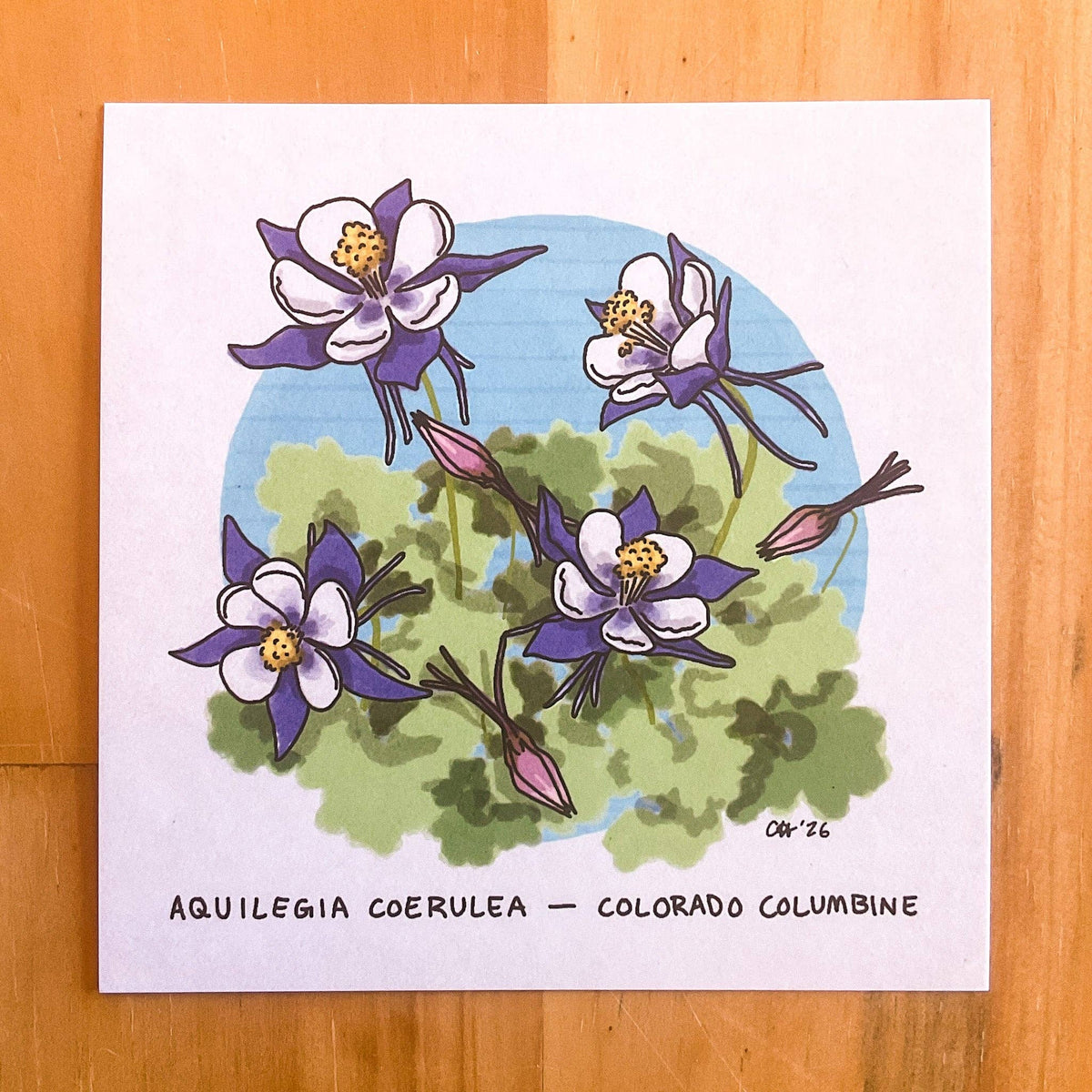 Doodled By Carrie - Colorado Flora Doodlegram Pack