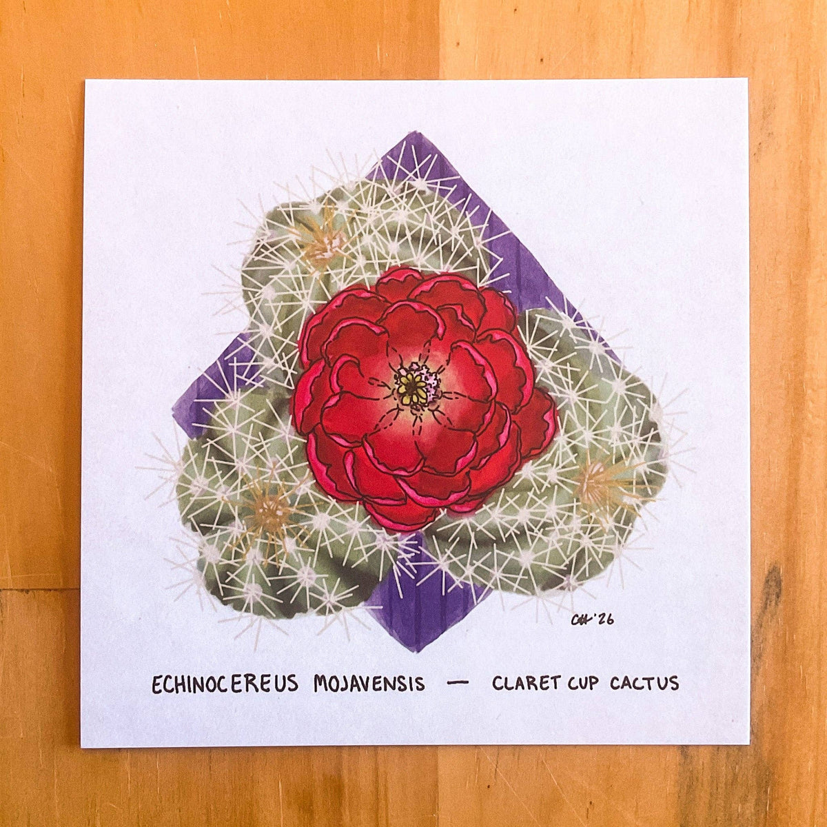 Doodled By Carrie - Colorado Flora Doodlegram Pack