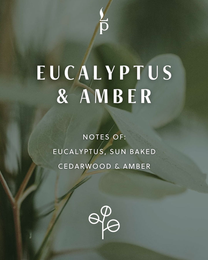 Eucalyptus & Amber - 9.5 oz - Light Provisions