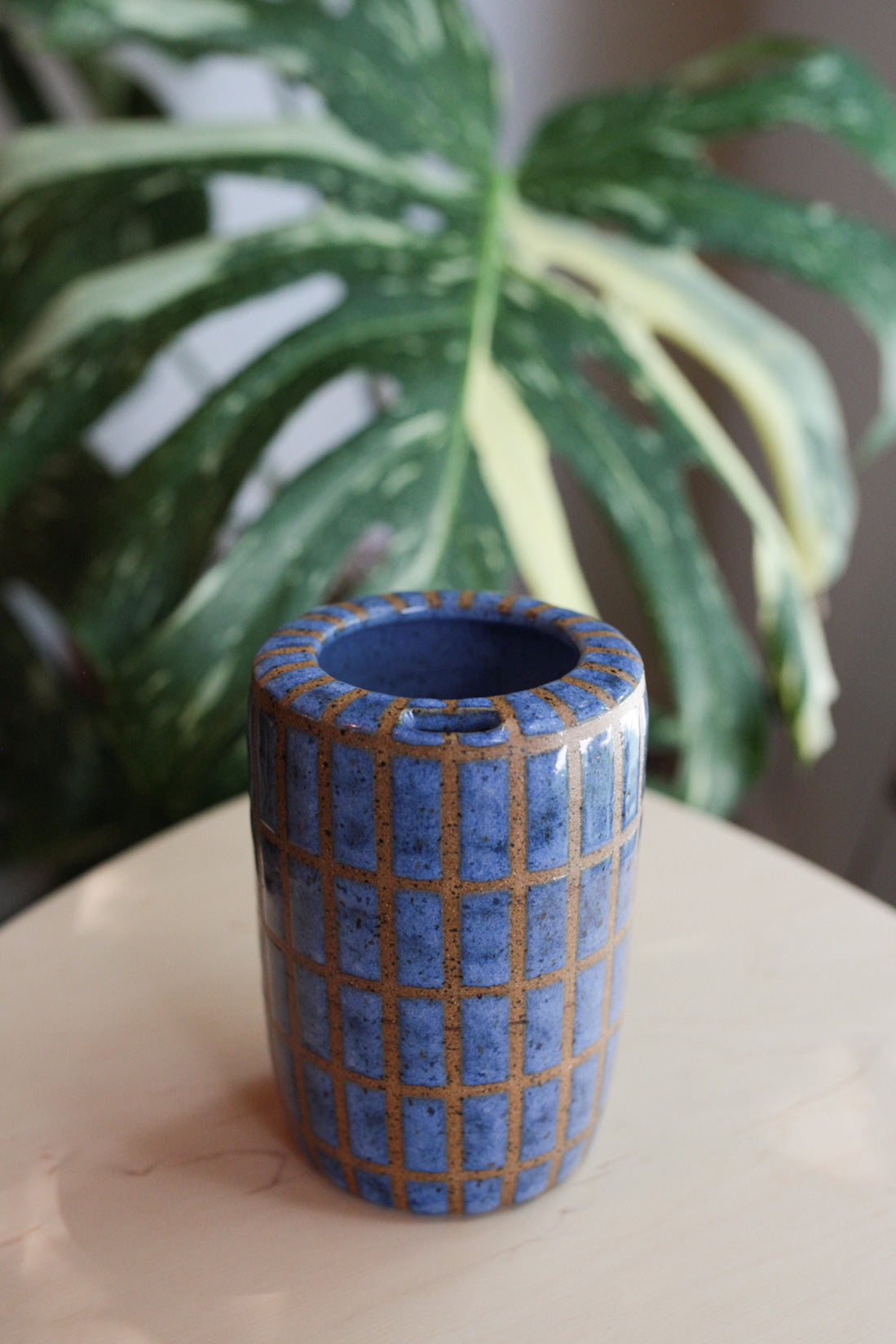 Chlorophyll and Clay - Blue Tile Sip Tumbler