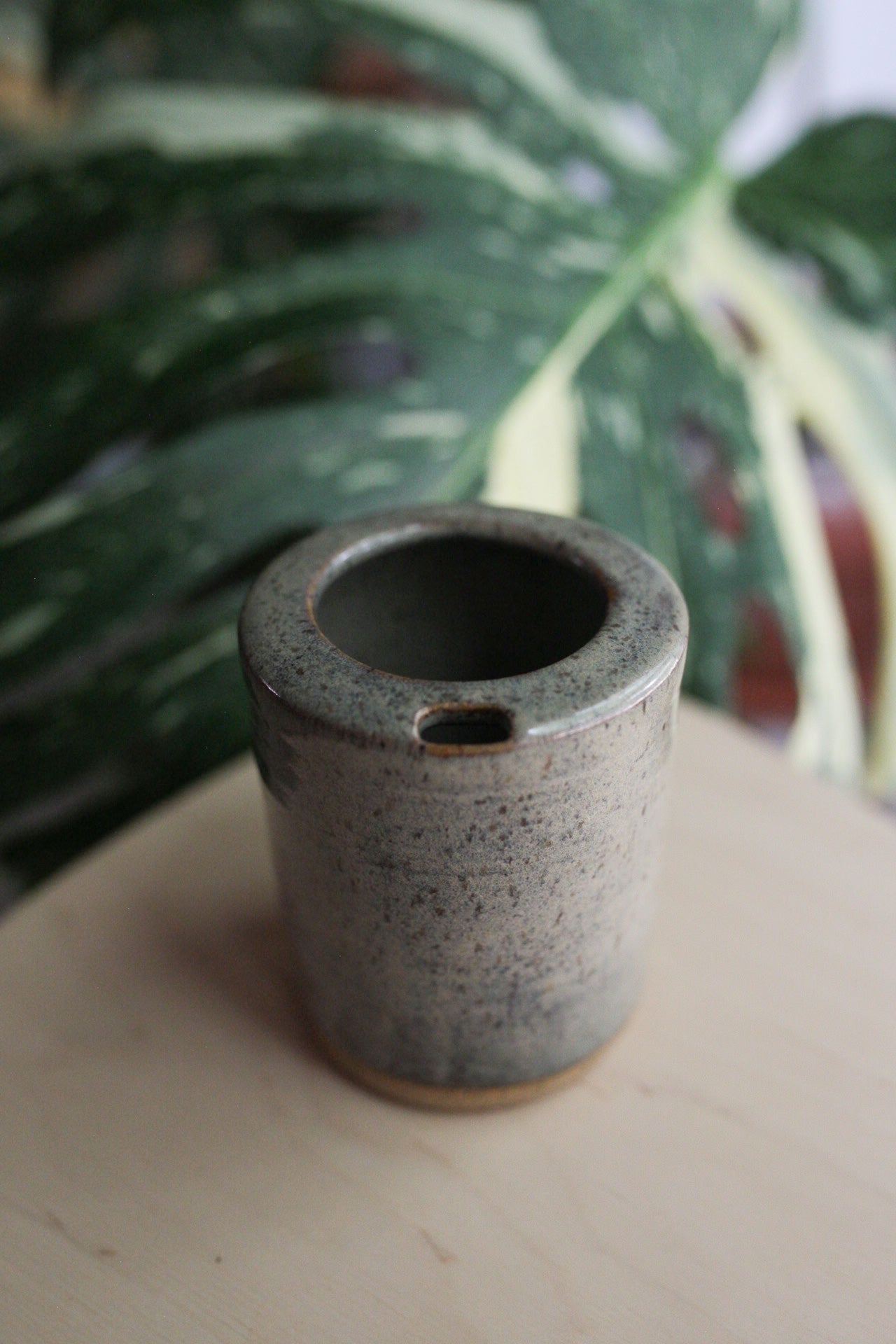 Chlorophyll and Clay - Short Jade Green Sip Tumbler