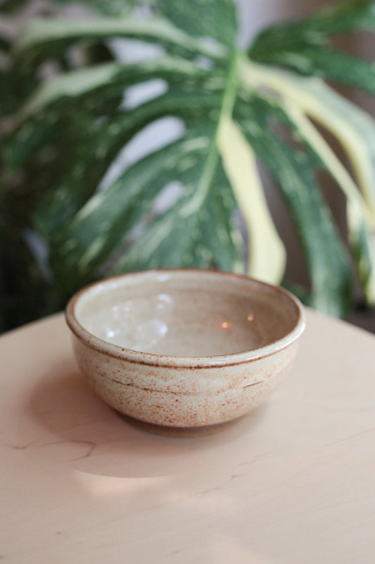 Chlorophyll and Clay - Small Beige Bowl
