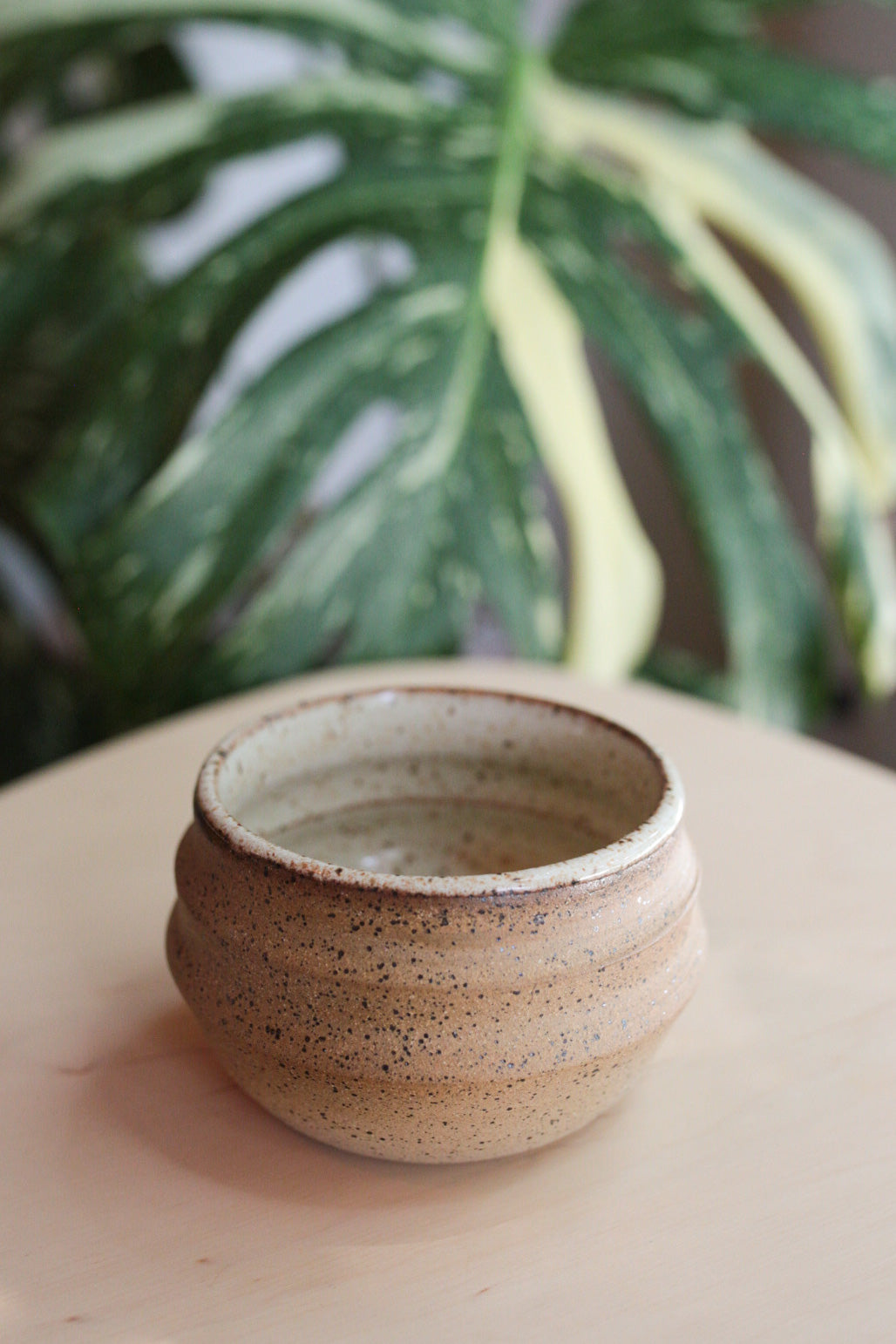 Chlorophyll and Clay - Small Grooved Pot