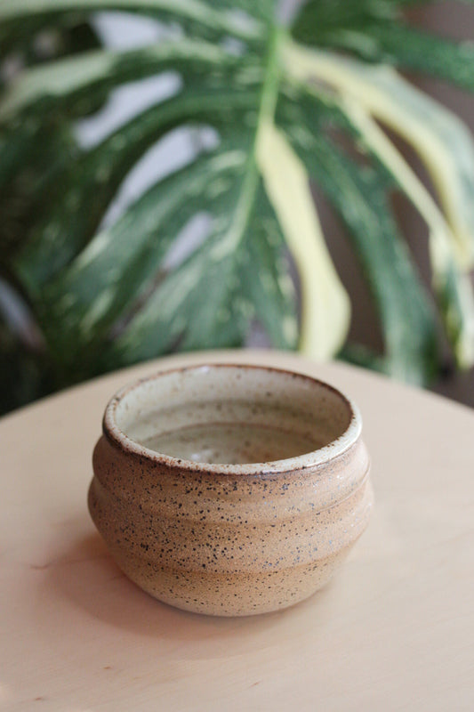 Chlorophyll and Clay - Small Grooved Pot