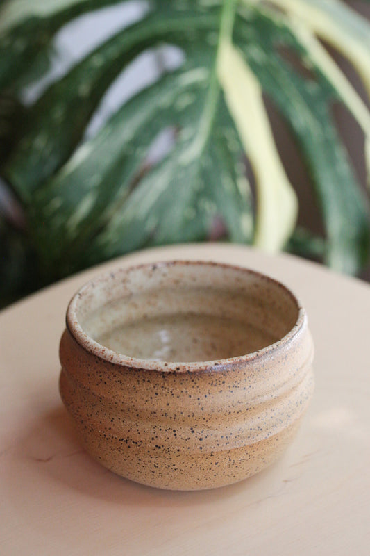 Chlorophyll and Clay - Medium Grooved Pot (Copy)