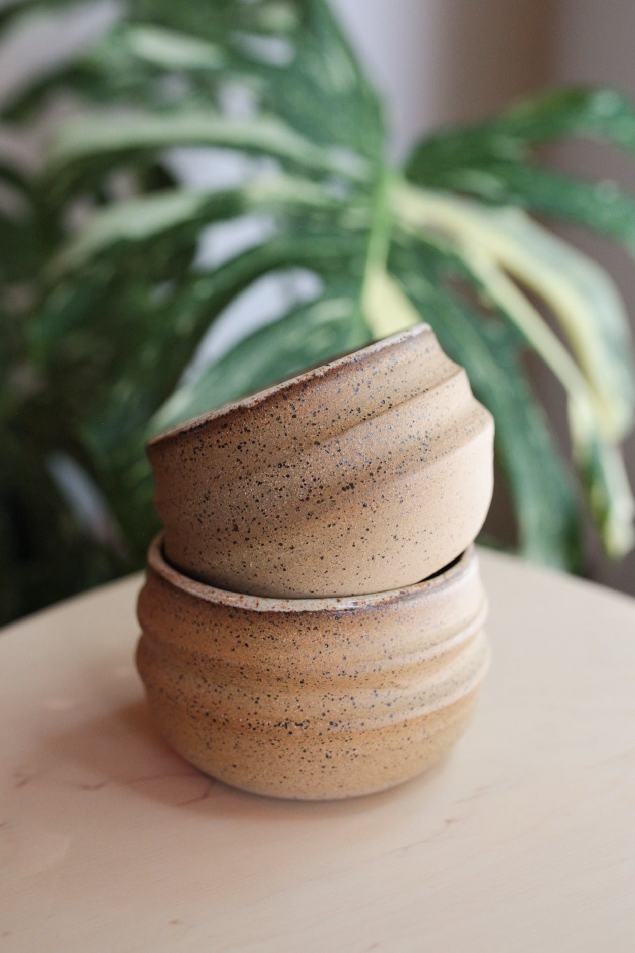 Chlorophyll and Clay - Medium Grooved Pot (Copy)