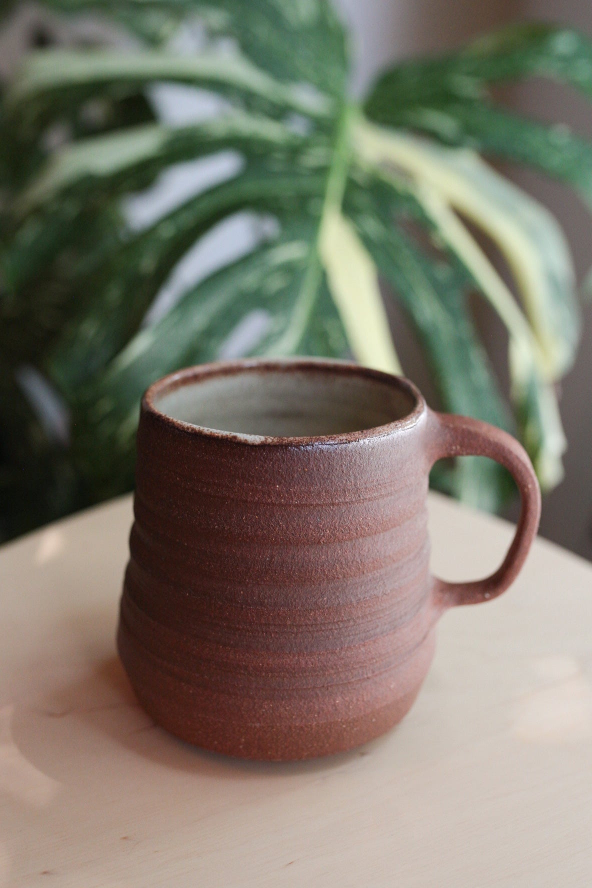 Chlorophyll and Clay - Big Red Grooved Mug