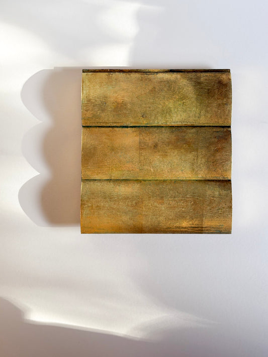 portrait of a home
